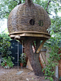 Willow Tree House: