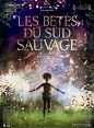 南国野兽 Beasts of the Southern Wild（2012）