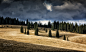 Forest trees before the storm by Grigore Roibu on 500px