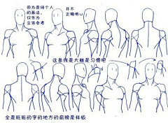 成功扑倒的弟弟采集到胸腔