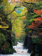 仙女格伦峡谷，康威河，威尔士
The Fairy Glen Gorge, Conwy River, Wales