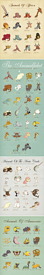 Animals around the world…