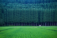 尼古拉斯·黑子采集到风景素材