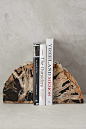 Petrified Wood Bookends