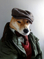 图集：穿衣服的狗

 
 
来自一个非常有意思的网站的创意，Menswear Dog，这网站似乎专门拍摄一些狗狗的“衣冠禽兽”照，而且每条狗的气质都碉堡了，和选配的衣物、服饰搭配得简直天衣无缝~

(5张)