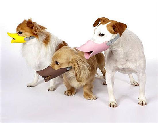 嘎嘎：狗狗的保护口套