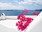 Flowers Oia Santorini Greece by Frank Hazebroek on 500px