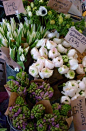 花卉市场
