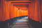 General 6000x4000 hallway blue orange wall architecture bright Asian architecture Japan outdoors path pathway