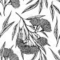 三叶草的黑白植物学载体模式。所有元素隔离。婚礼请柬、贺卡、包装纸、化妆品包装、标签、标签、报价、海报