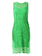 Dolce & Gabanna dress--- Lace NEVER goes out of style! Fall want!