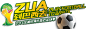 ZUA到巴西去——2014龙湖世界杯桑巴足球季