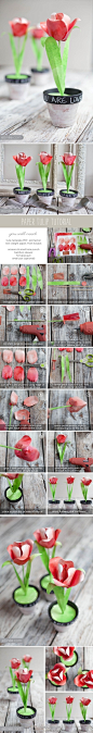 DIY tulips