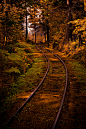 Forest Rail, British Columbia, Canada
