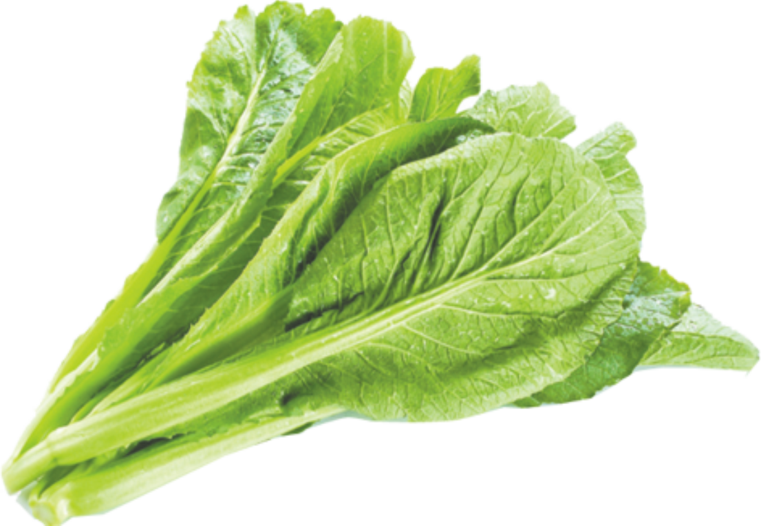 0b3db5e581d5fe34f33f452f455583fa95959a1dc24f6-BH2xpB