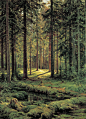 Ivan Shishkin 84