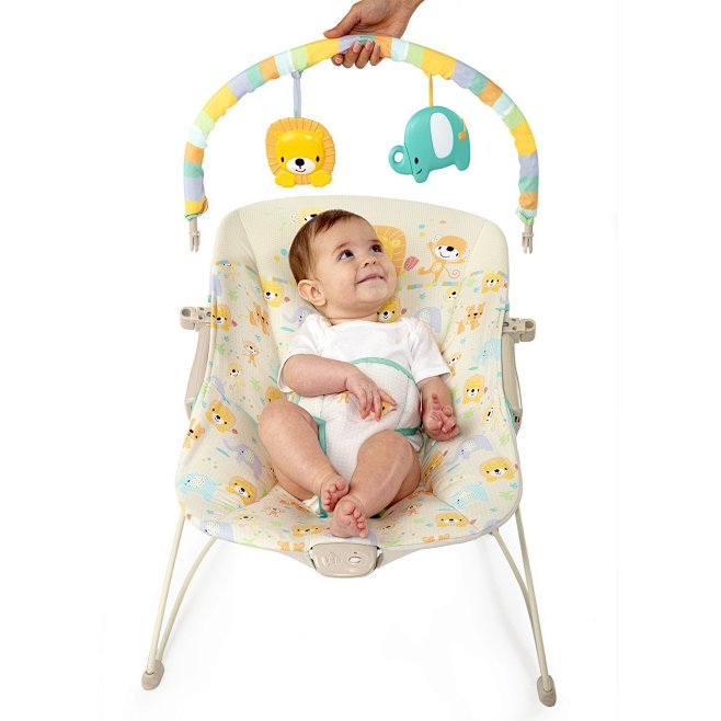 Fisher-Price Infant-...