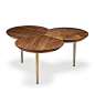 STEM-COFFEE-TABLE-02.jpg