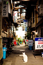 An alley in Japan