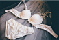 6월의 신부 bra+pantie set by 츄(chuu) : 순수하면서도 청순한 화이트란제리 4cm 볼륨패드로 무에서 유를 만들어줄 츄 볼륨폭발 웨딩라인 ! 신부님들 주목하세요 :)                                                                                                               PRODUCT INFO   로맨틱무드가 물