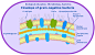 ConceptDraw Samples | Science and education - Biology