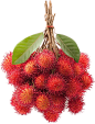 新鲜水果大全图片png免抠元素组合素材 苹果 桔子 草莓 柠檬 桃子 西瓜 葡萄 西红柿 菠萝 猕猴桃