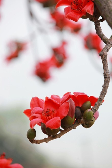 真正的爱从来无关风月，只在平淡的流年里变...