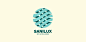 Sanilux #采集大赛#