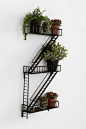 Fire Escape Wall Planter