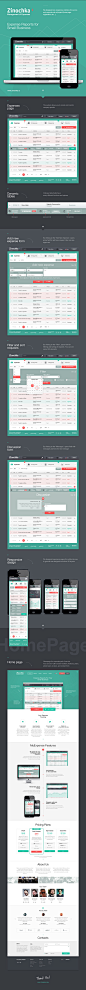 Zinochka : Zinochka – Expense reports for small business. The system allows you to create and monitor company spends. We designed nice responsive interface for service and corporate site of project (home page, registration, etc...). In general was designe