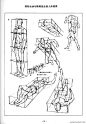 1699612473 - 安德鲁·路米斯《人体素描》 - 相册 - 若凡 - 雅昌博客频道