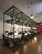 lagranja design create a leafy, light-filled office in barcelona : in barcelona, studio lagranja have created an airy, plant-filled office space for start-up 'typeform', based on ideals of fresh air and free mobility.
