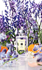 Wild Bluebell Cologne | Jo Malone London : Vibrant sapphire blooms in a shaded woodland. The delicate sweetness of dewy bluebells suffused with lily of the valley and eglantine, and a luscious twist of persimmon. Mesmerising.
