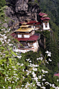 Tiger’s Nest viewed from above, Paro Valley, Bhutan (by ruchiro).