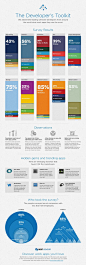 Infographic: What Tools Developers Actually Use