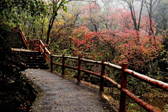 晨曦｡◕‿◕｡采集到在路上。