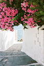 希腊有最美的夏天~