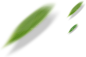 leaf.png (803×529)