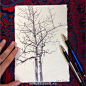 【米蒂分享】?我很喜欢画树～感觉很有生命力～这位美女画家用简单的工具把树画到了极致～很喜欢～大家可以临摹练习哦～图片来自ins 作者：dinabrodsky