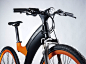 Lion LX1 : The Lion LX1 pedal-assisted electric bicycle features a stylish design, sturdy aluminum frame, and advanced power drive system with our exclusive Algorhythm technology.