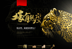 7HACeHfg采集到banner