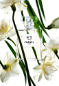 Chanel No 5 by Kevin Cremens – Art Department