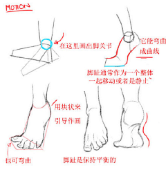 拾夏_SHIXIA采集到技法形体