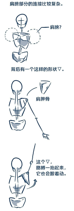 吃熟冬瓜采集到学