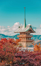 9 Best Cities In Japan You Must Visit (8)
