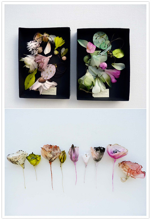 Paper flowers by Lyn...