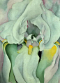 georgia o'keeffe - 乔治亚·奥基夫作品乔治亚·奥基夫_9 - georgia o'keeffe_9