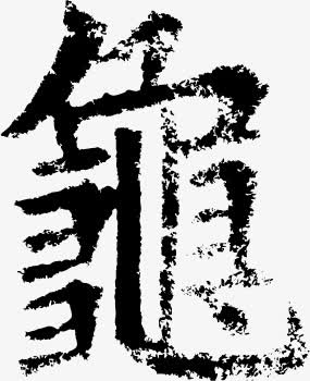 0c6d4de8c5da479846dc5101d262cca60b3ef7fe51f5-zmNXoD