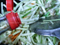 如何做韭黄炒白蛤的做法（海鲜家常菜）