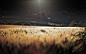 depth of field fields nature sunlight wallpaper (#2988644) / Wallbase.cc